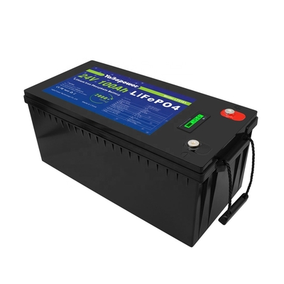 Batteria 100Ah 150Ah 200Ah 300Ah 24v Lifepo4 Con Bms