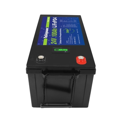 Batteria 100Ah 150Ah 200Ah 300Ah 24v Lifepo4 Con Bms