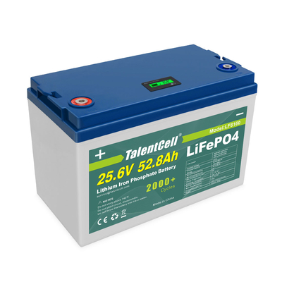 Ciclo profondo del pacco batteria 24v 60ah 70ah 80ah 24v 50ah Lifepo4