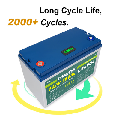 Ciclo profondo del pacco batteria 24v 60ah 70ah 80ah 24v 50ah Lifepo4